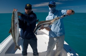 key west cobia fishing