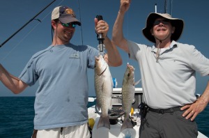 Mangrove Snapper caught on their spawn