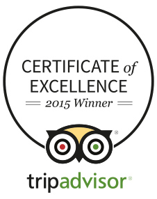 TripAdvisor Reviews