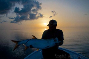 Tarpon fishing with Capt. Kyle Kelso