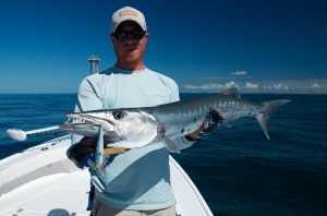 key west barracuda