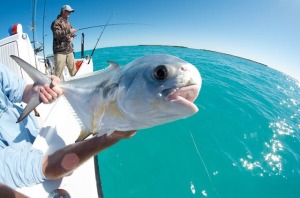 Marquesas Keys Permit Fishing