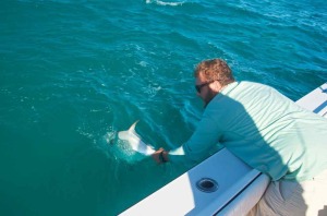 Releasing a permit in Key West