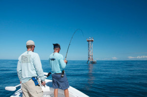 Hooked up to a barracuda on a tower