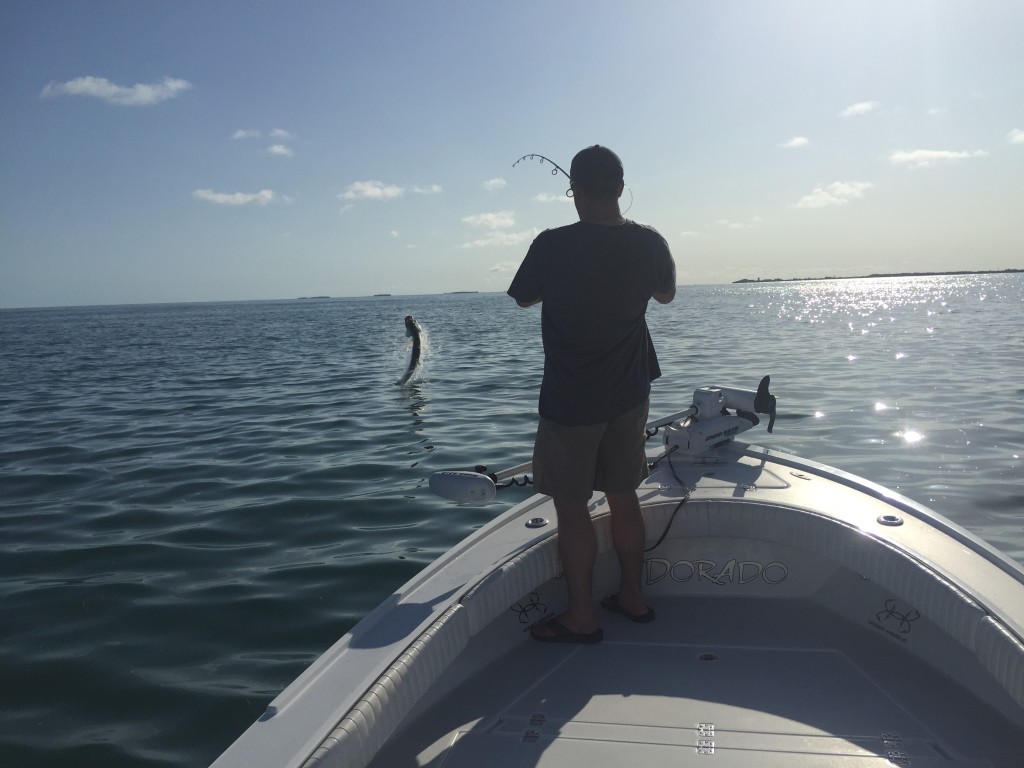 key west tarpon 