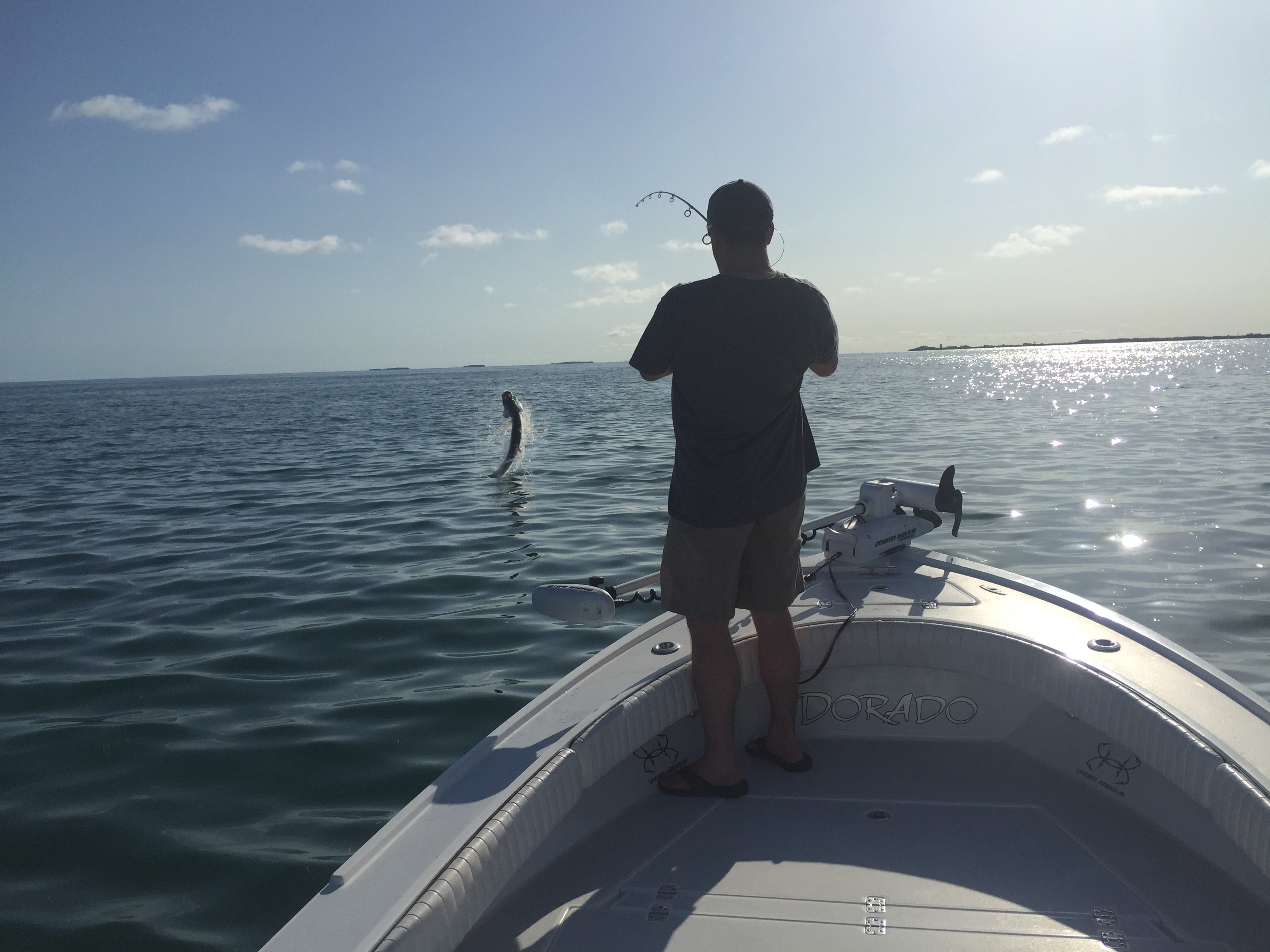 Tarpon Fishing on a Roll