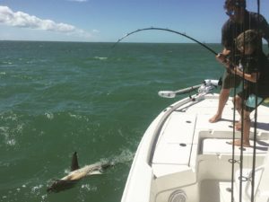 shark fishing key west