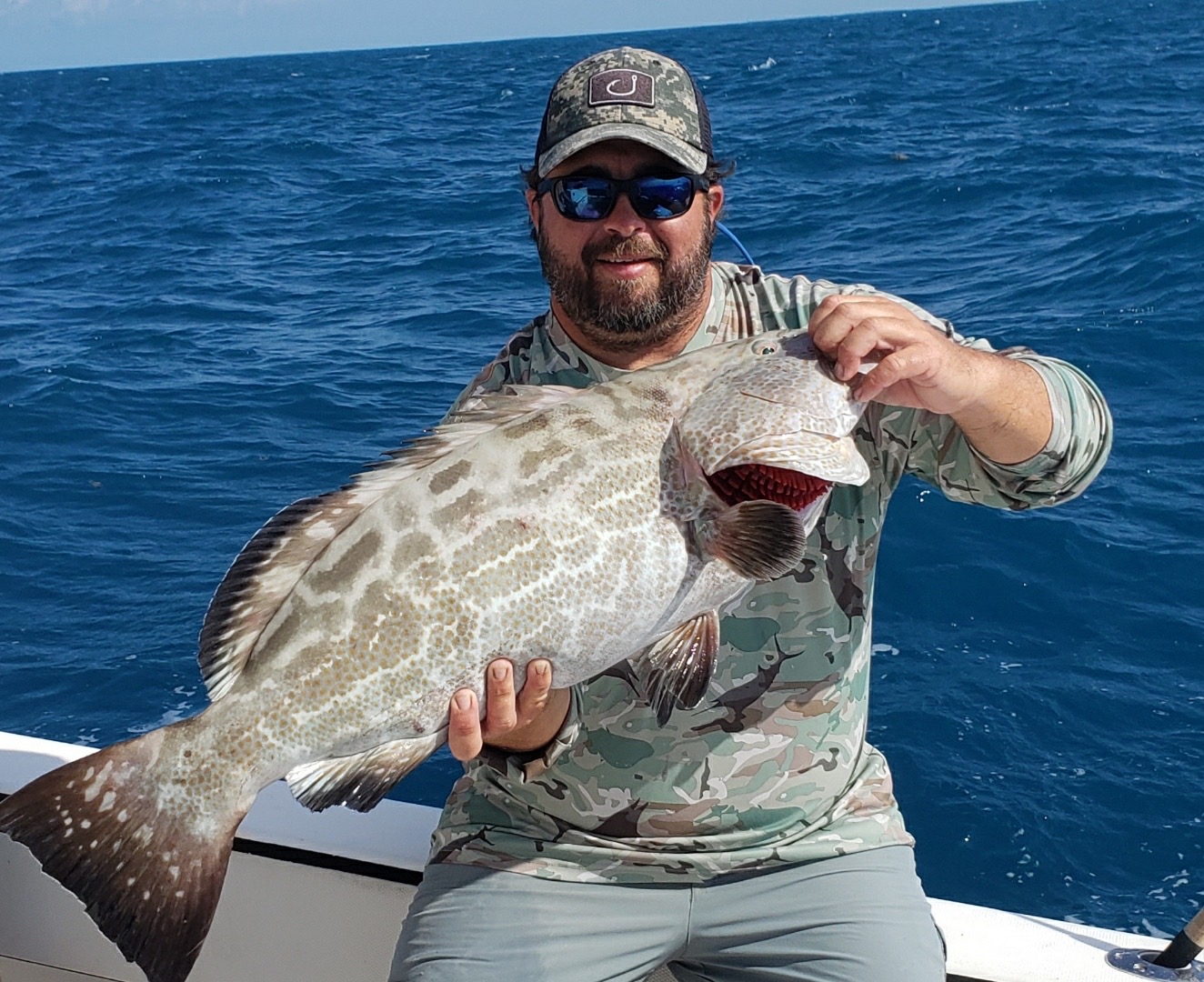 Key West Grouper