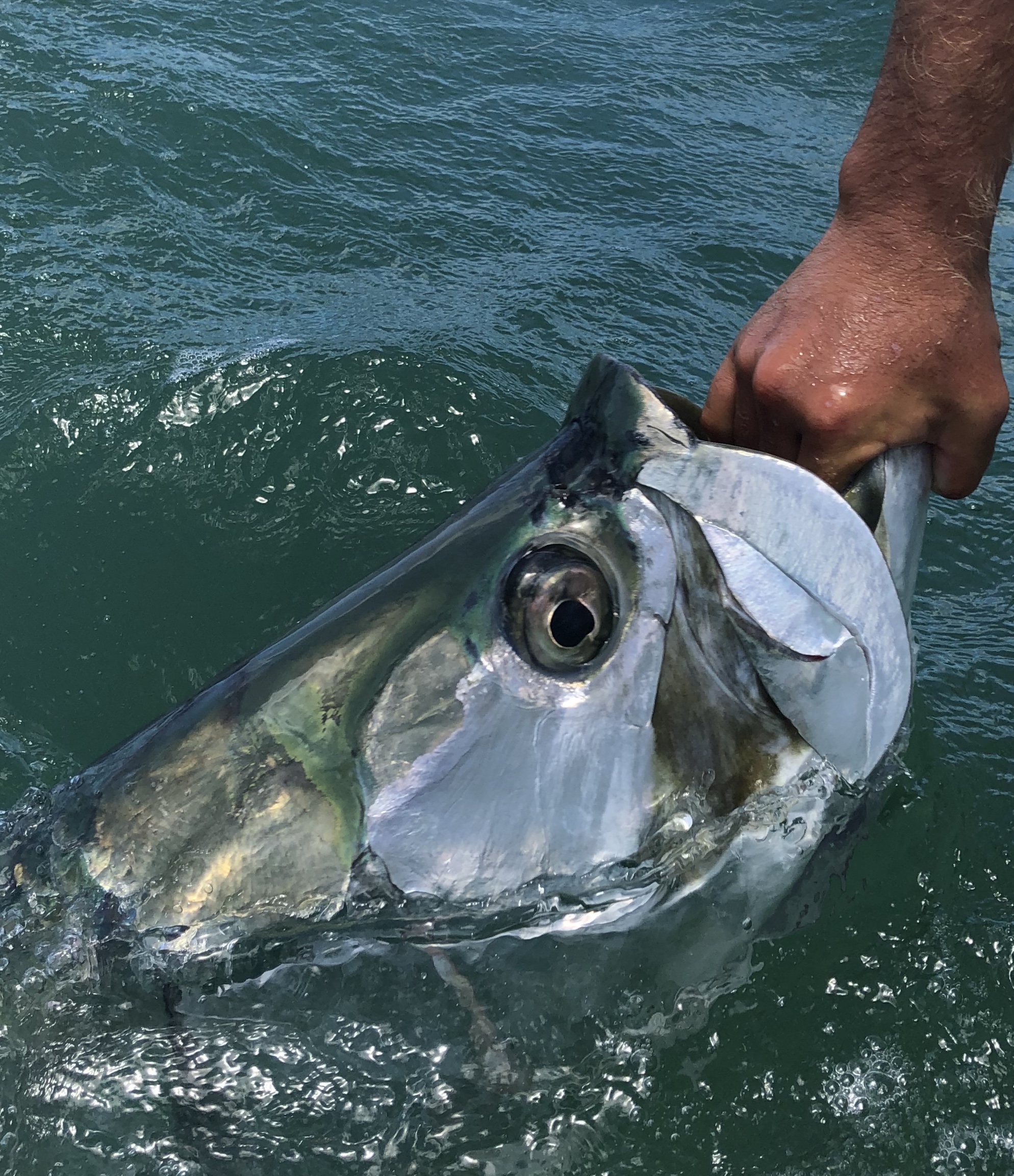 June 2020 Fishing Report