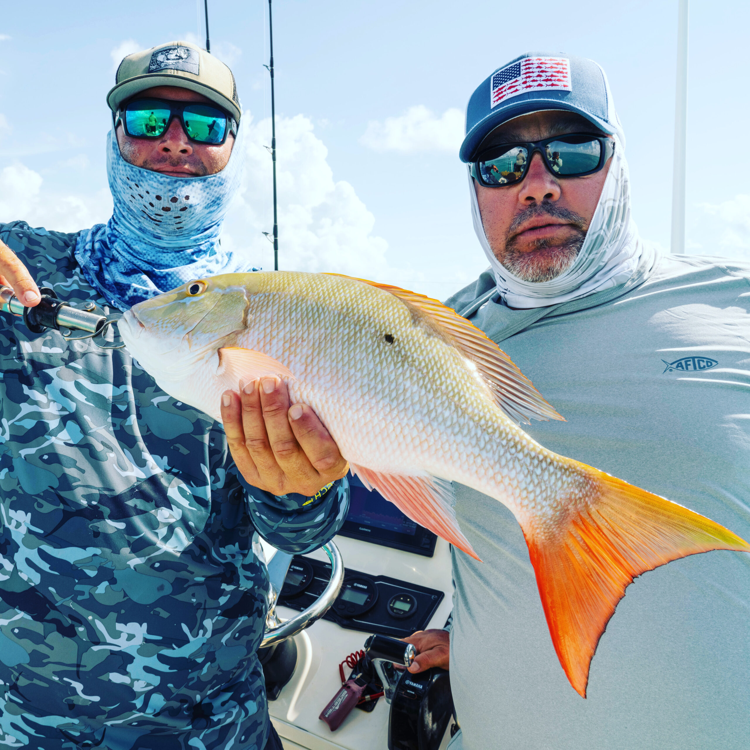 November 2020 Fishing Report AND Video