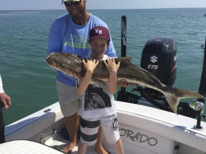 Cobia caught in the backcountry         